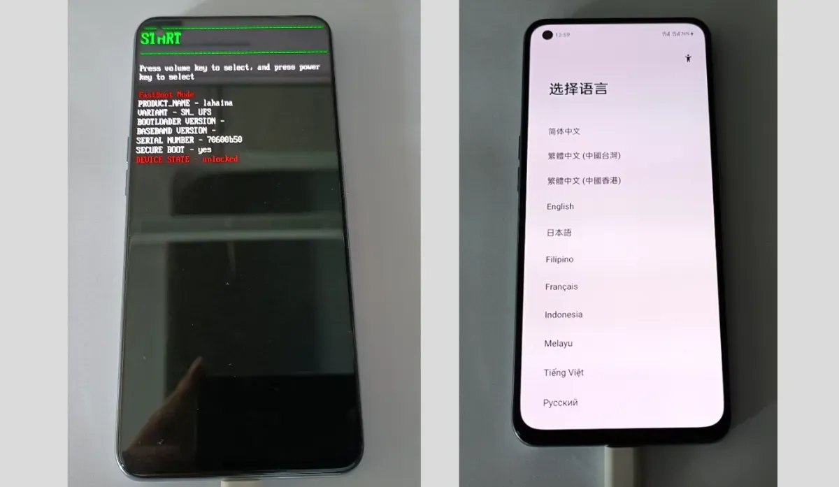 真我社区